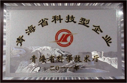 2011年复审通过，继续保持科技型企业称号