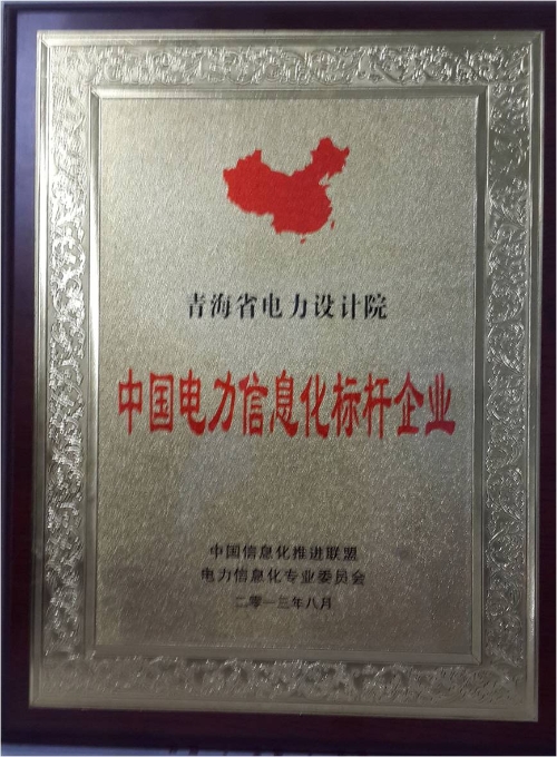 2013年荣获中国电力信息化标杆企业