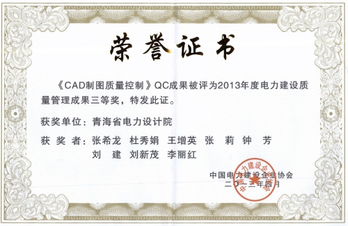 2013年度电力建设管理成果三等奖