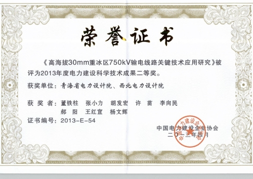 2013年度电力建设科学技术成果二等奖