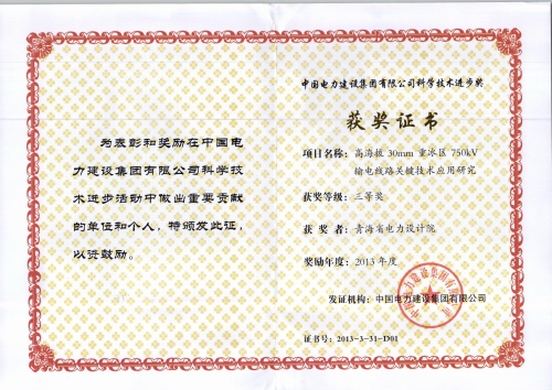 中国电力建设集团有限公司科学技术进步奖